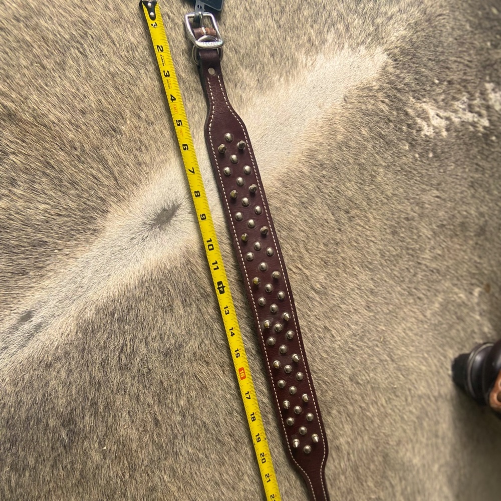 Spiked double ply Leather dog collar